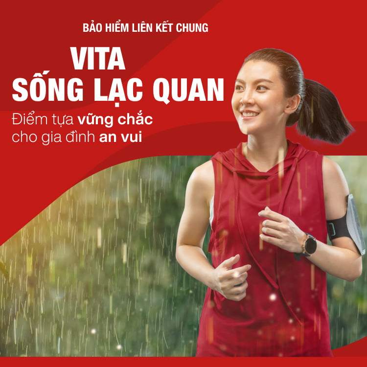 VITA Song Lac Quan Mobile Banner