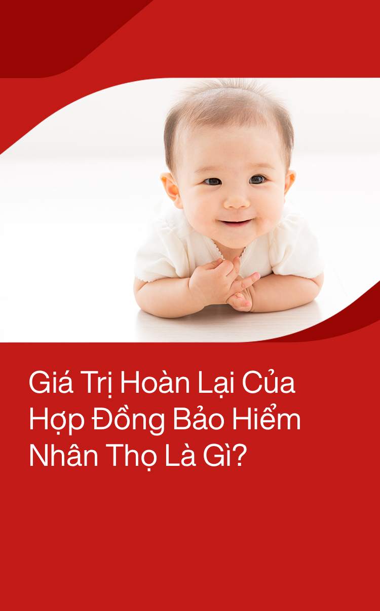 bao hiem cho be mobile banner