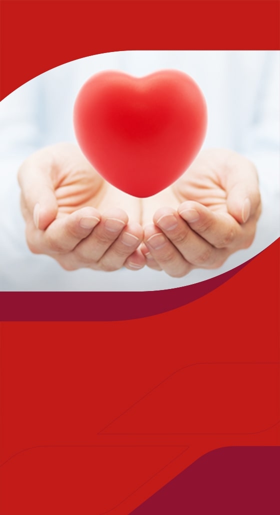 bao-hiem-sinh-ky-la-gi